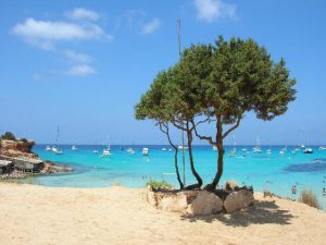 formentera