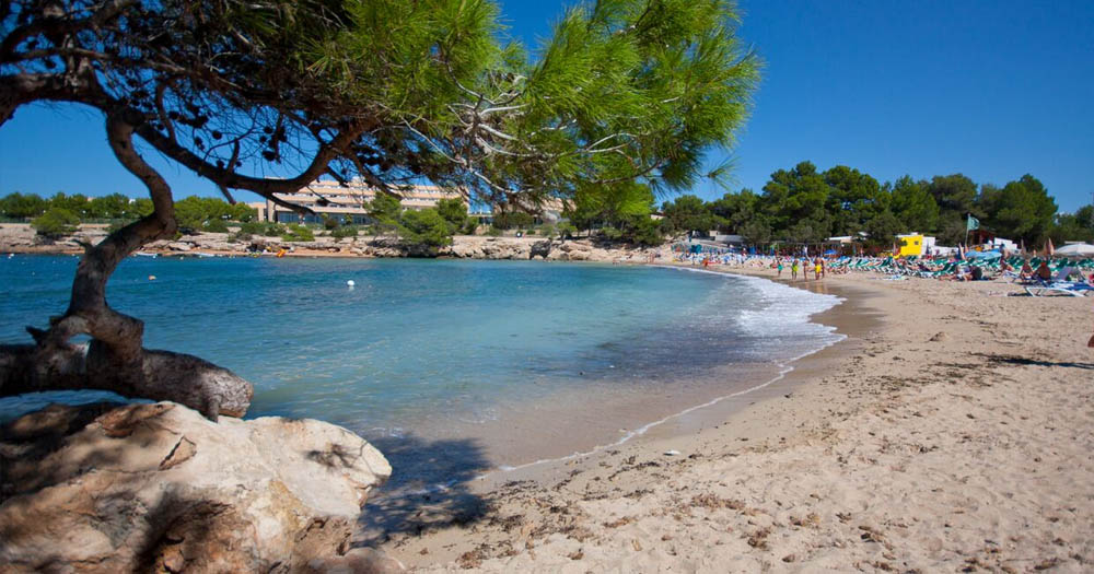 Cala port des torrent ibiza