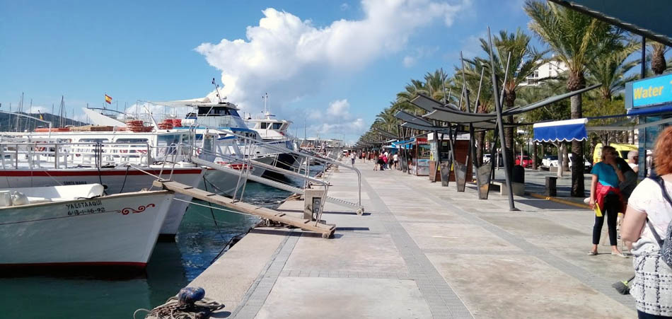 Il Lungomare con le palme Passeig de Ses Fonts