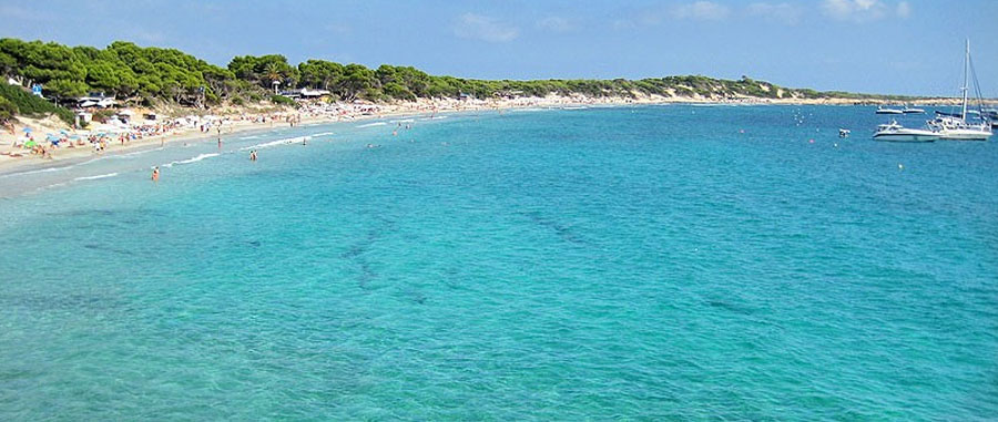 The Best Beaches in Ibiza