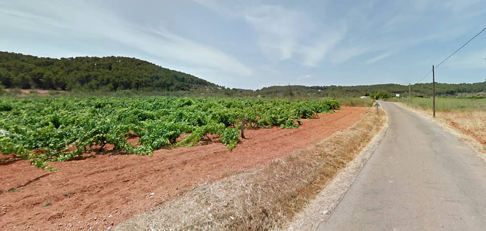 I vigneti di Sant Mateu d'Albarca